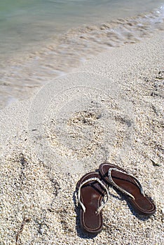 Shoreline with sandals.