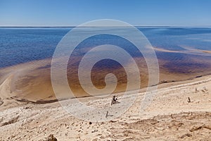 Shoreline with a sandy