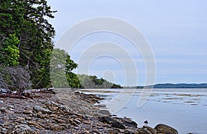 Shoreline of Sears Island in Maine photo