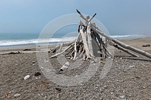 Shoreline shelter made from driftwood
