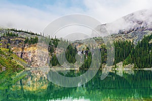 Shoreline Trail in the Alpine area of Lake O`Hara in the Canadian Rockies of Yoho National Park