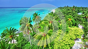 Shoreline of a tropical island in the Maldives.