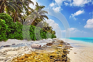 Shoreline of a tropical island in the Maldives