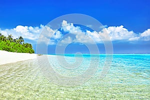 Shoreline of a tropical island in the Maldives