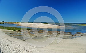 Shoreline of Wellfleet Bay in Cape Cod.