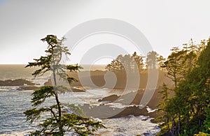 Shoreline at wild pacific trail in Ucluelet, Vancouver Island, B