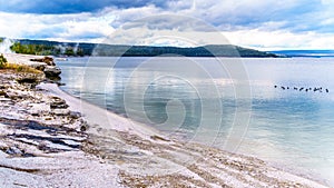 The shoreline of Yellowstone Lake at the West Thumb Geyser Basin in Yellowstone National Park