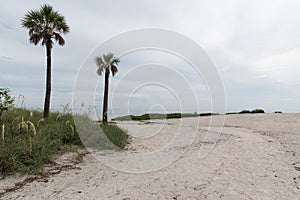 On the shores of the Gulf of Mexico, Florida, USA