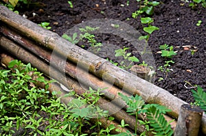 Short bamboo fence on the ground