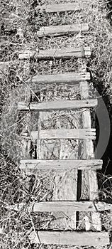 A short bridge from bamboo