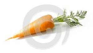 Short carrot isolated on white