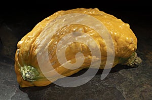 short and fat yellos squash on a beige colored tile