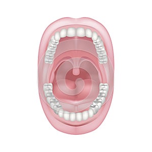 Short frenum of the tongue. Pathology of the oral cavity.