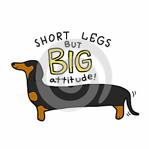 Short legs but big attitude dachshund dog cartoon illustration