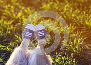 short legs of a dog shod in sporty blue sneakers stretched out on a background of green grass