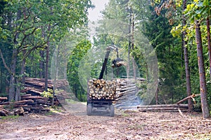 Short log truck, timber truck, loading logs in the forest, manipulator loader logs
