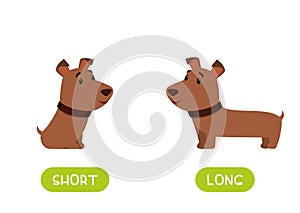 Short and long dogs  illustration with typography Flashcard for english language learning. Big and small opposites concept.