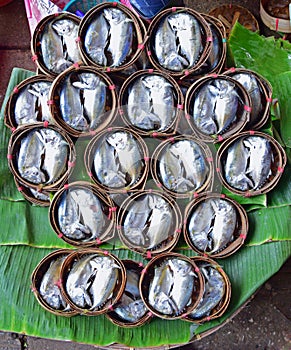 Short mackerel prepared as Pla Thu on Bamboo Basket in Samut Songkhram Thailand photo