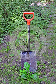 Short metal garden shovel