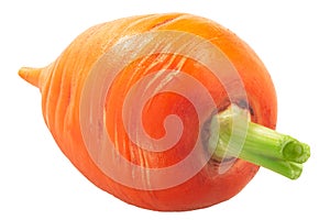 Short Rondo carrot Daucus carota taproot  isolated photo