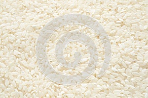 Short round grain rice background. Focus all over the frame.