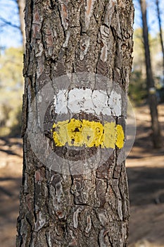 Short Waymarked Path