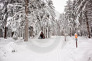 Short winter hike in the snow-covered Thuringian Forest near Floh-Seligenthal