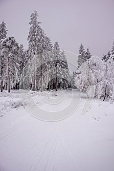 Short winter hike in the snow-covered Thuringian Forest near Floh-Seligenthal
