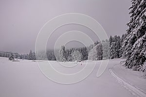 Short winter hike in the snow-covered Thuringian Forest near Floh-Seligenthal