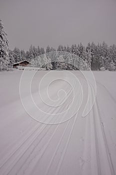 Short winter hike in the snow-covered Thuringian Forest near Floh-Seligenthal