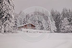 Short winter hike in the snow-covered Thuringian Forest near Floh-Seligenthal