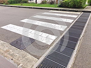 Short zebra crossing