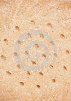 Shortbread biscuit abstract