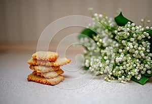 Shortbread cookies against the backdrop of the lizards