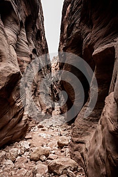 Shorter Walls of Buckskin Gulch Allow Light In With Muted Colors
