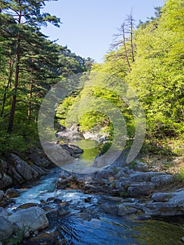 Shosenkyo Gorge in fresh green in Kofu, Yamanashi, Japan