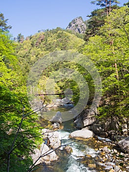 Shosenkyo Gorge in fresh green in Kofu, Yamanashi, Japan