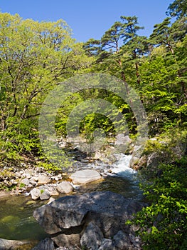 Shosenkyo Gorge in fresh green in Kofu, Yamanashi, Japan