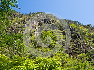 Shosenkyo Gorge in fresh green in Kofu, Yamanashi, Japan