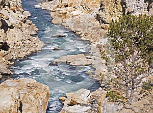 Shoshone River Canyon