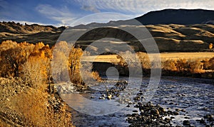 The Shoshone River and Dazzling Autumn Leaves Outside Cody, Wyoming photo