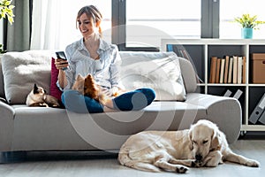 Attractive young woman using mobile phone while sitting in couch with her dogs and cat in living room at home