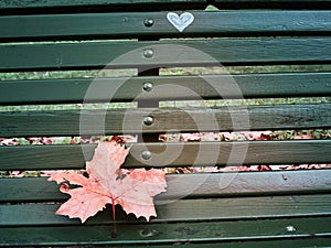 Shot of a bench with a heart sign and a red leaf