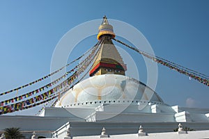 Shot of Boudha Stupa Kathmandu Nepal