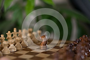 Shot of a chess board white horse moving. Business leader concept.