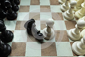 Shot of a chess board white house moving. Business leader concept.selective focus.