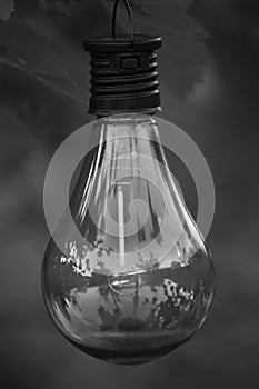 A shot of a clear lightbulb