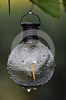 A shot of a clear lightbulb after a rain shower photo