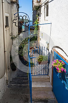 Shot of a colorful alley with flowers on the wall in Peschici, Italy