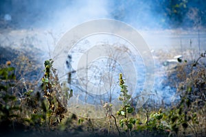 Shot of crops thrash garbage being burnt on the side of a road and causing pollution with smoke and dust in the air of